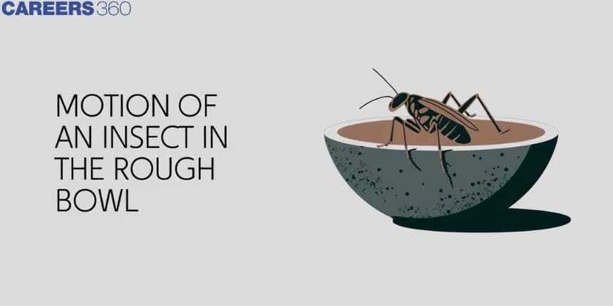 Motion of an Insect in the Rough Bowl